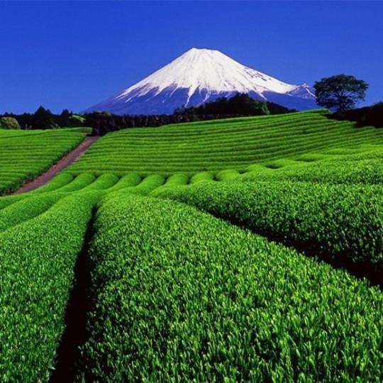 富士宫亚多木屋 富士宫市 外观 照片