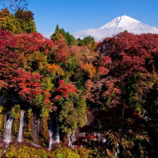 富士宫亚多木屋 富士宫市 外观 照片